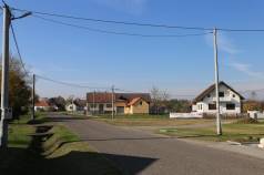 Mini IMG 7226